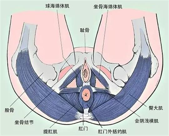 產(chǎn)康門店創(chuàng)業(yè)，開展什么產(chǎn)康項(xiàng)目合適呢？