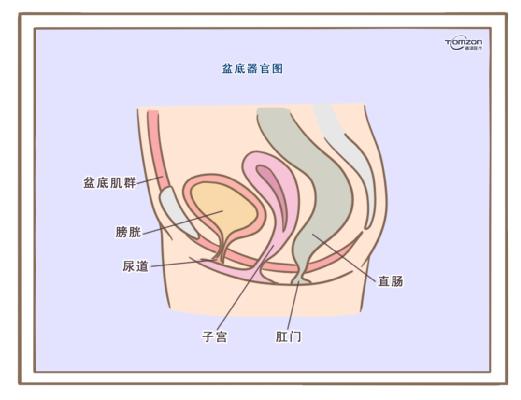 盆底康復(fù)治療儀應(yīng)該在產(chǎn)后什么時候使用？